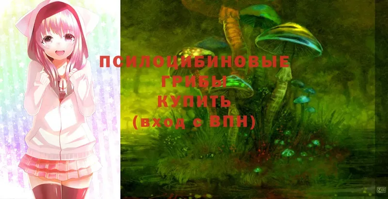 Псилоцибиновые грибы Cubensis  купить закладку  Лабытнанги 